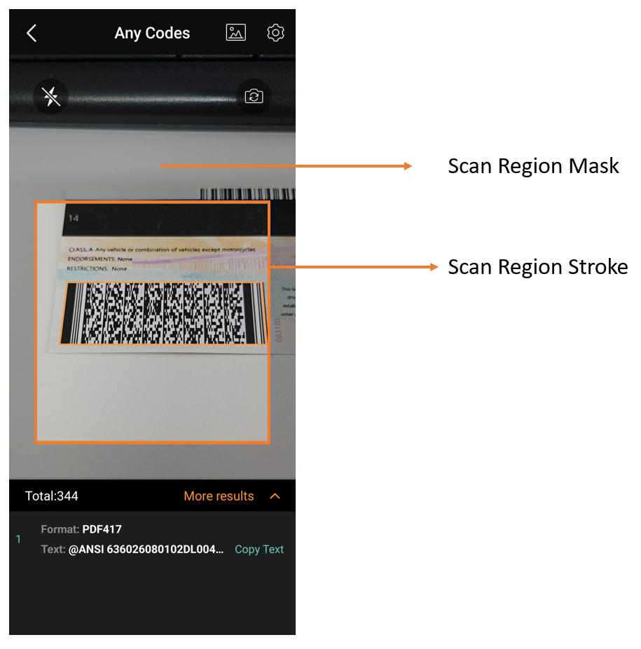 scan-region-style