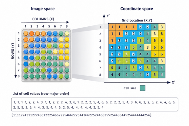 grid-mapping