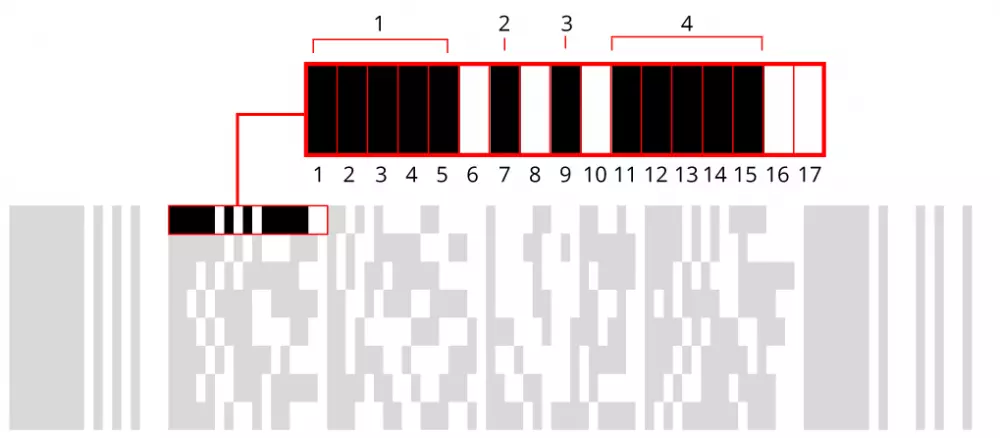 PDF417 Data codewords