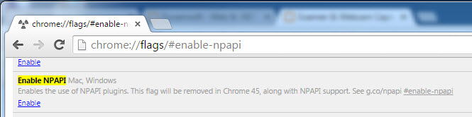 enable NPAPI