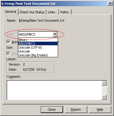 File type in file property dialog box