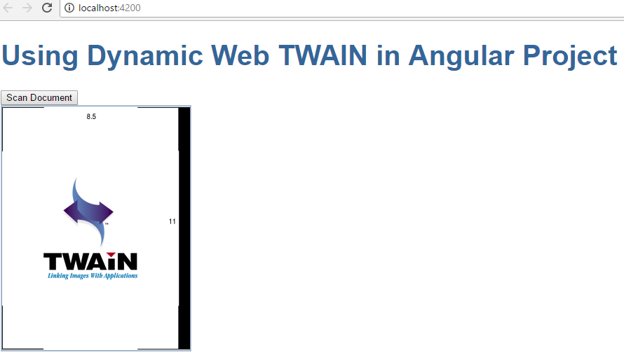 Angular web document scan