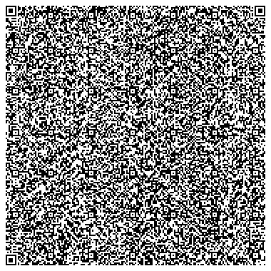 generated high-density QR code