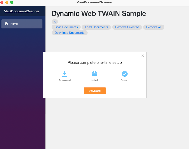 Dynamic Web TWAIN first time