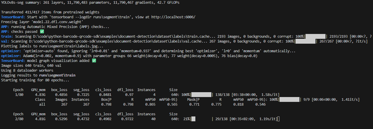 YOLO segmentation training