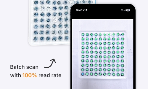 Scan & Count Inventory