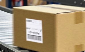 packvision-image-1.jpg