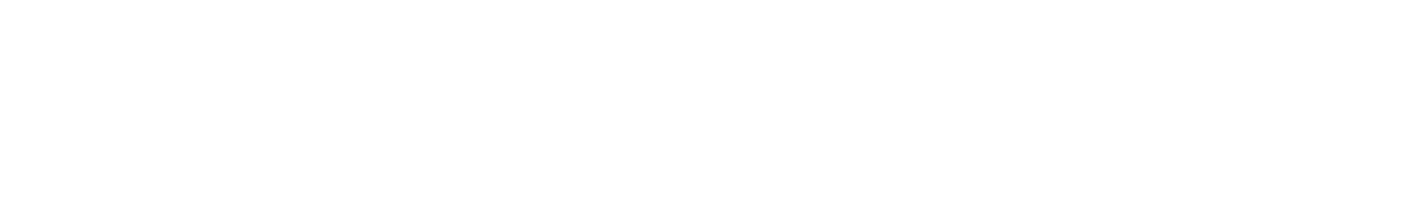 dynamsoft logo