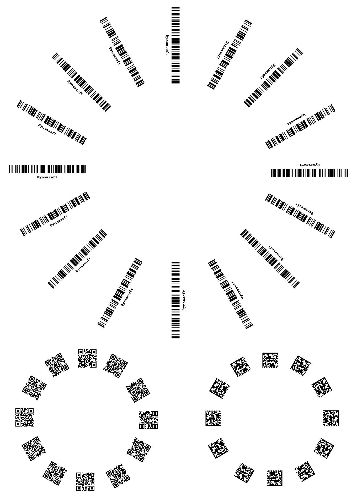 multiple-symbologies-multiple-barcodes-2.jpg